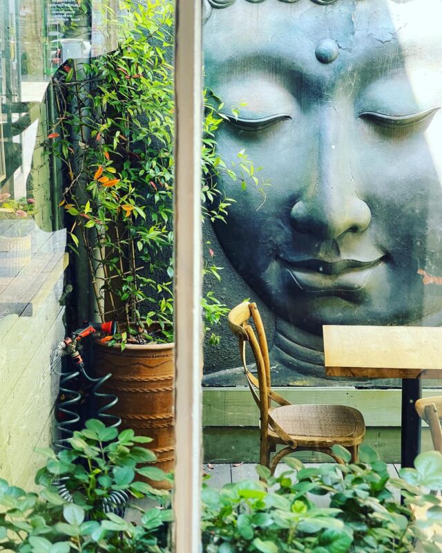 Its the time of the year the gardens come into there own, at Power’ there a choice of two, one with a Buddha and the other a sun drenched courtyard, the choice is yours☀️☀️☀️☀️